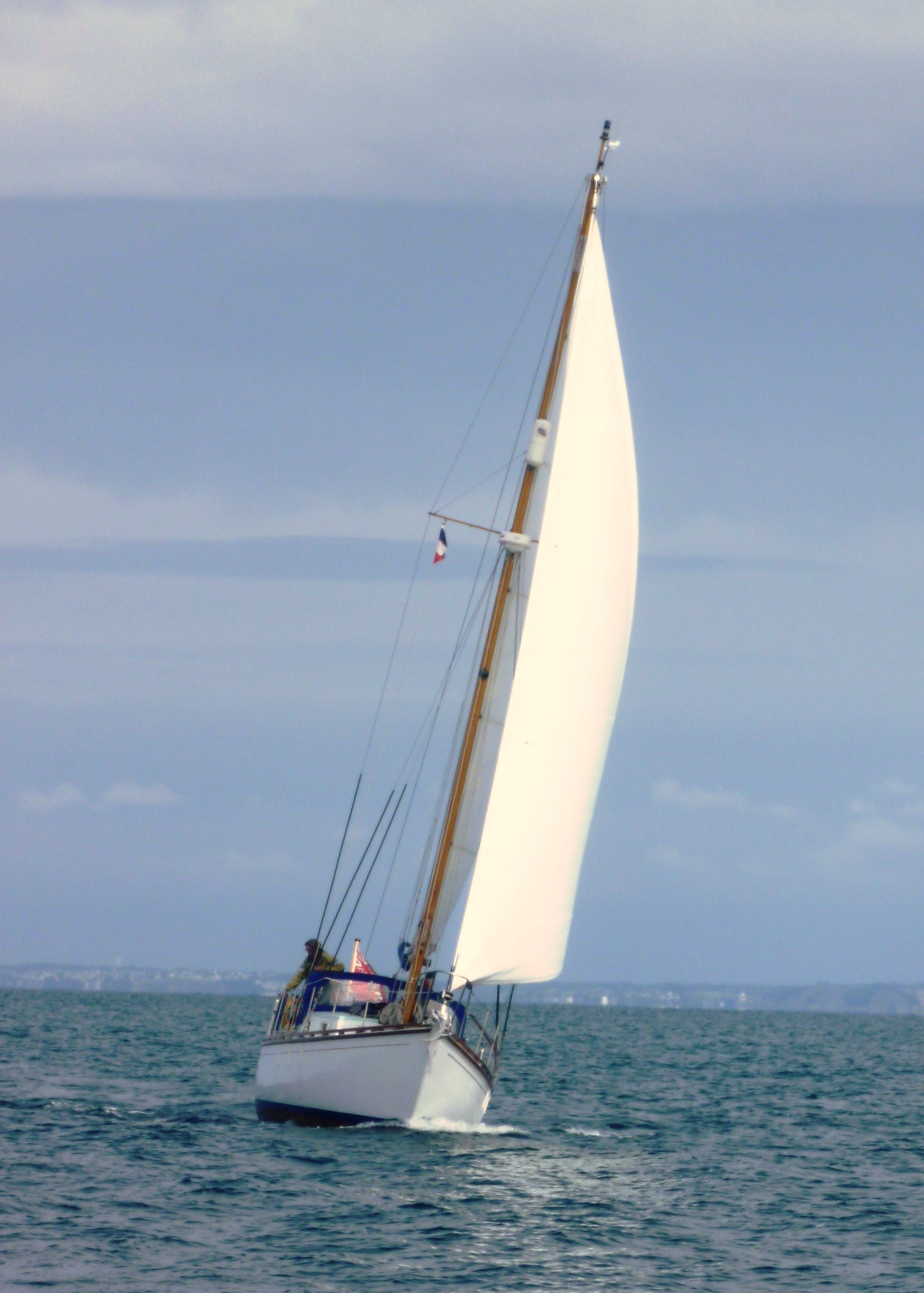 Ianthe  Brittany Aug 11 01