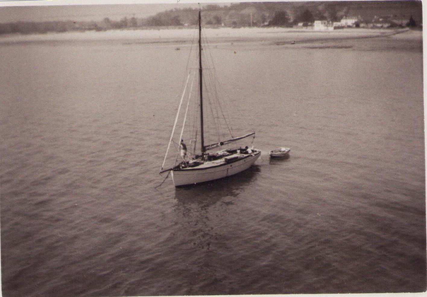 Illawarra Grouville Bay Jersey