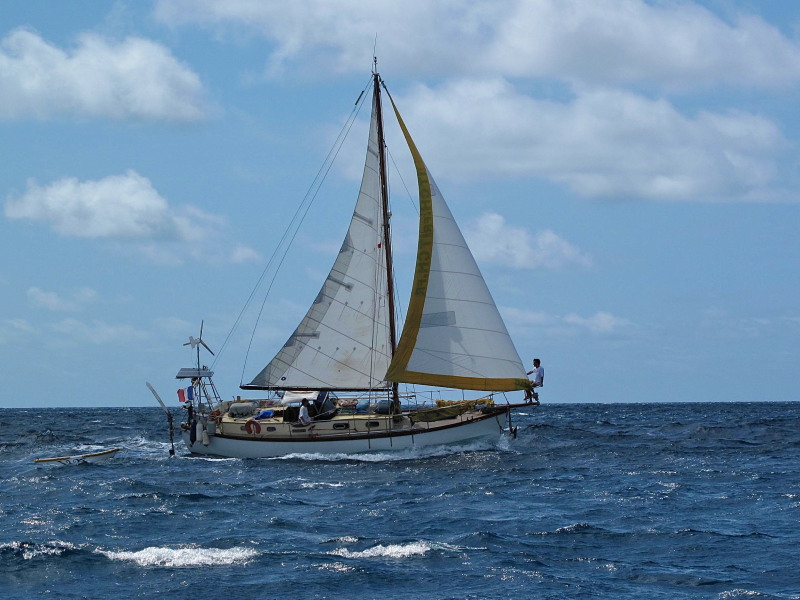 Joline Joline aux Tonga