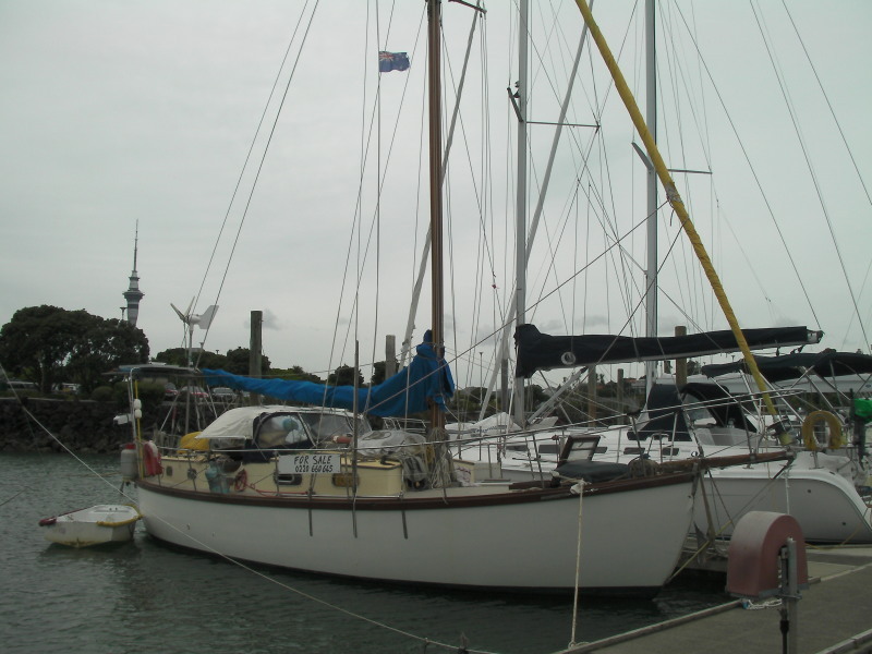 Joline NZ Auckland