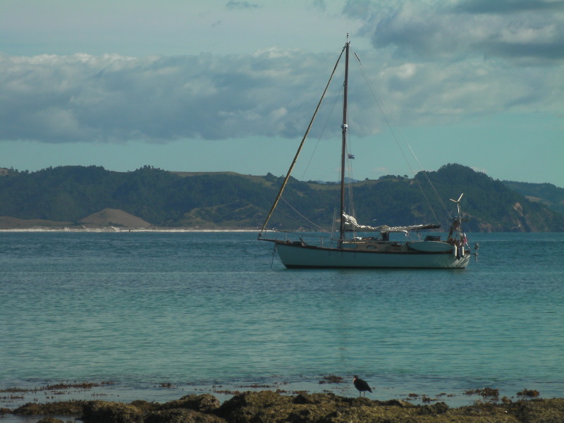 Joline NZ Great Mercury Island and Corromandel
                  behind