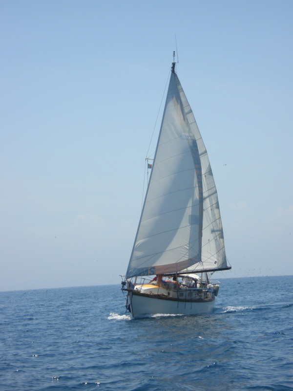 Joline vers les iles Perlas