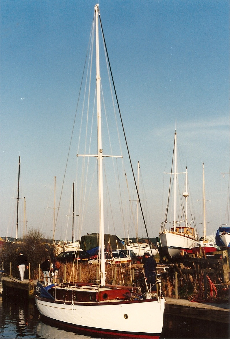 gannet1