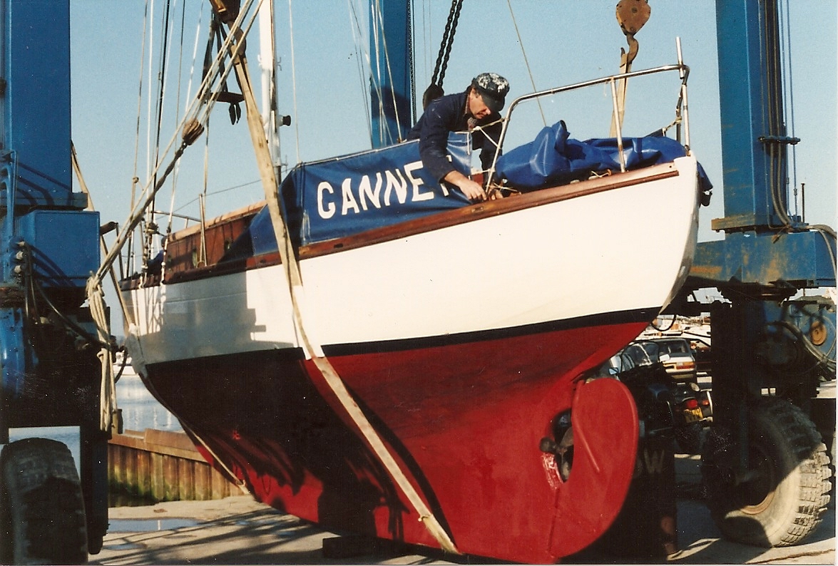gannet2
