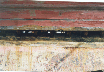 The rib structure